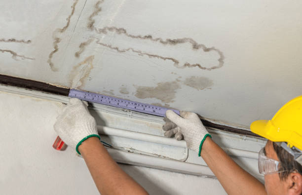 Reliable Basement Water Removal contractor in Glade Park, CO by Water Damage Irwin